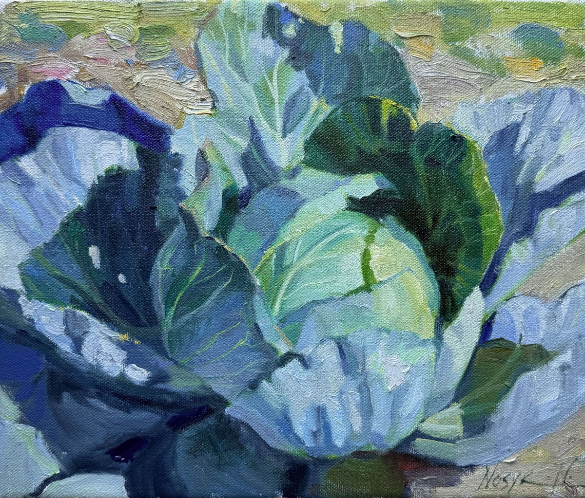 Impressionistic Botanical Oil Painting By Nataliia Nosyk, 12 X 10", The Cabbage #3, Original Artwork