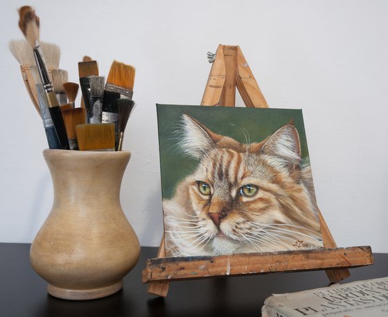 Cat portrait 3