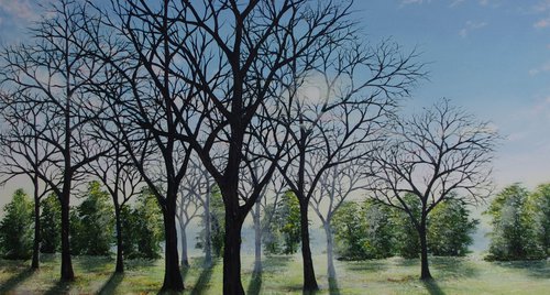 Artwork by Hazel Thomson