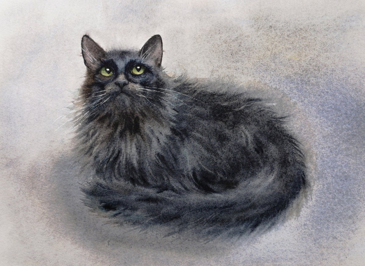Black Cat - Fluffy black cat by Olga Beliaeva Watercolour