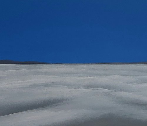 Endless Winter Polderland (2) by Nelly van Nieuwenhuijzen