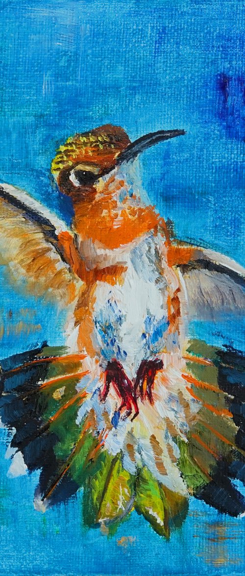 Dancing Hummingbird by Marion Derrett