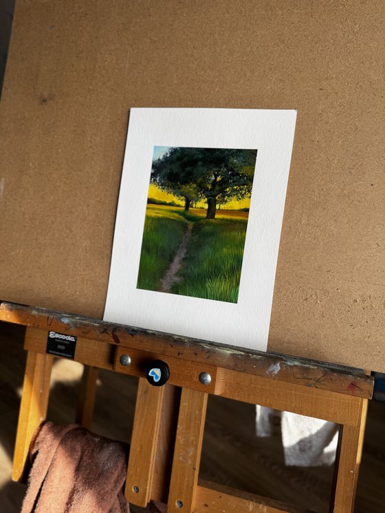 Sunset Landscape