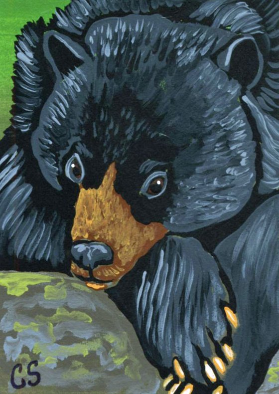 ACEO ATC Original Painting Black Bear Wildlife Art-Carla Smale