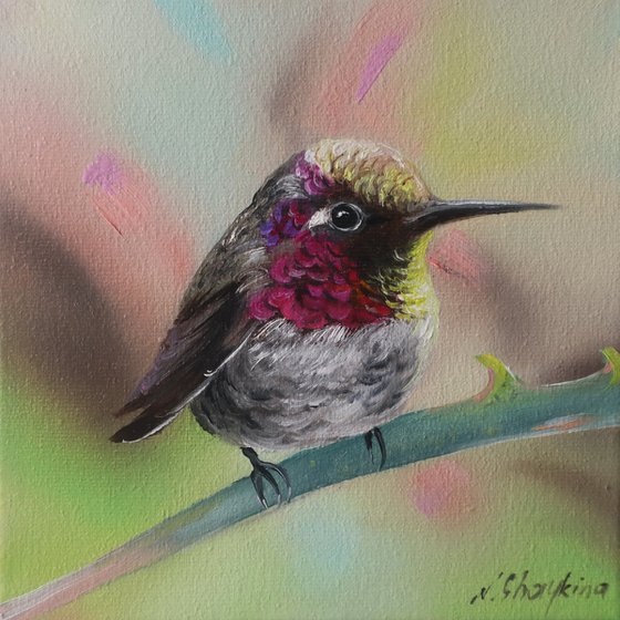 Violet Hummingbird