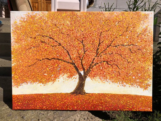 Autumn tree