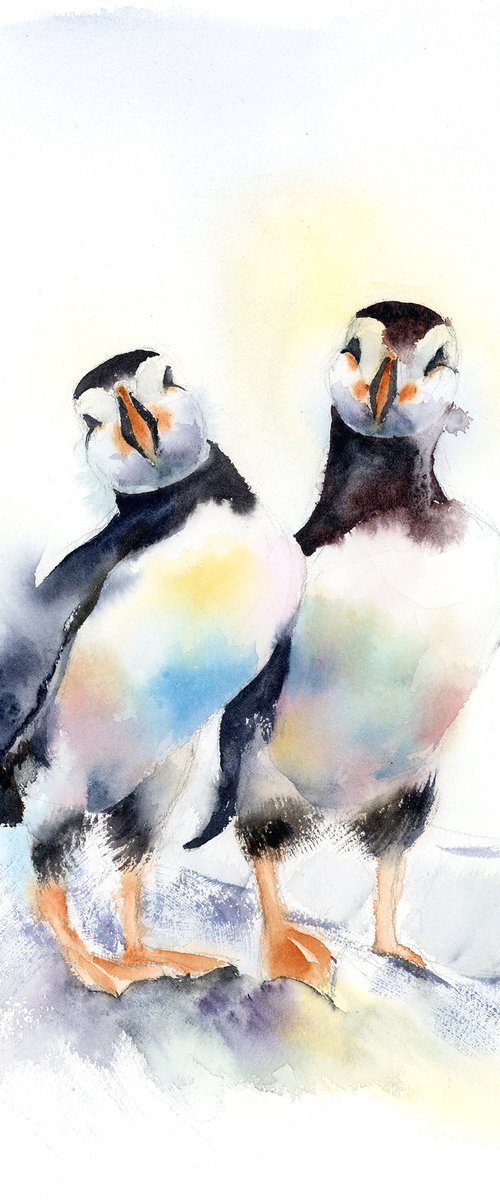 Pair of puffins (birds) by Olga Tchefranov (Shefranov)