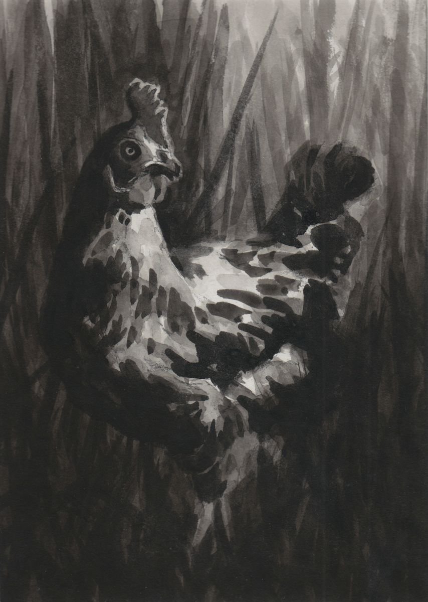 Chicken in the long grass by Hugo Lines