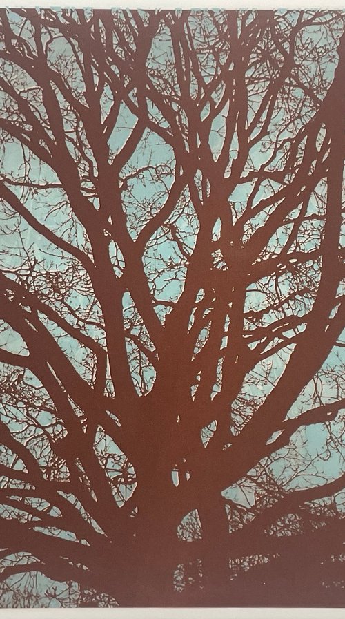 Branching Out by Simon Lawson