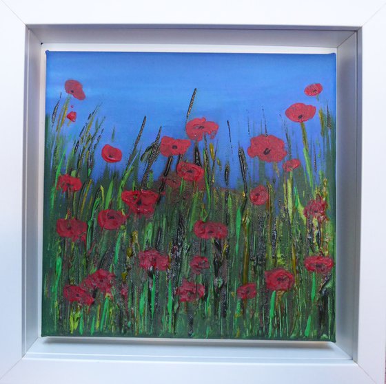 Jewel Poppies