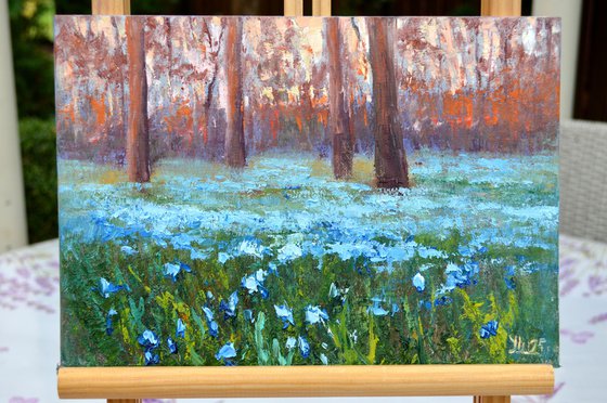 Scilla in the morning park