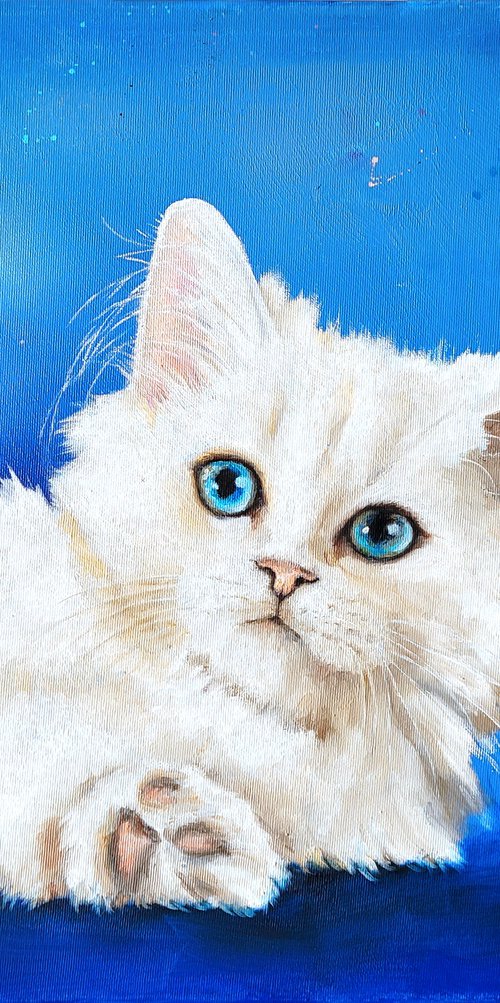 Crystal Blue Eyes and Soft Fur by Lisa Braun