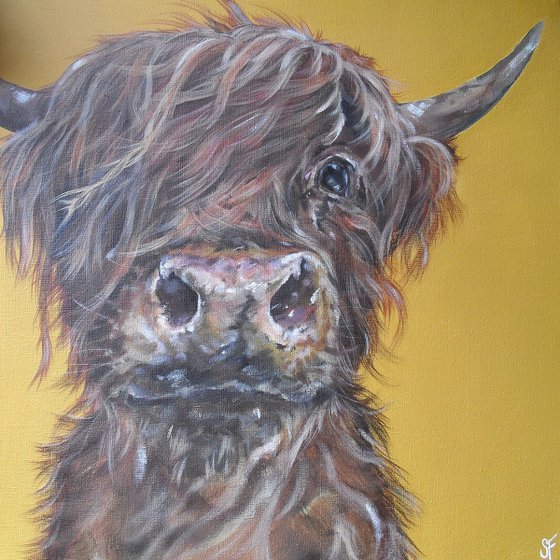 'Mini McMoo' Highland cow painting