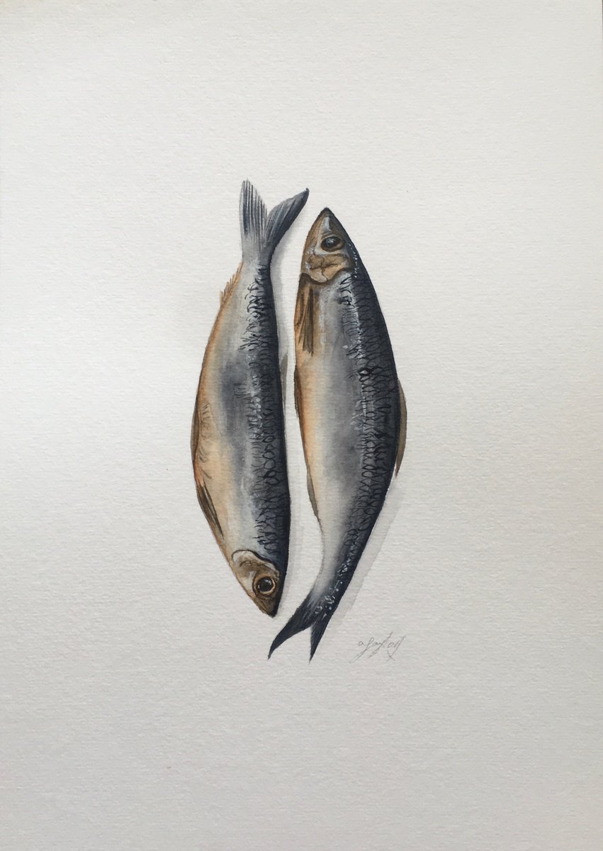 Sardines by Amelia Taylor