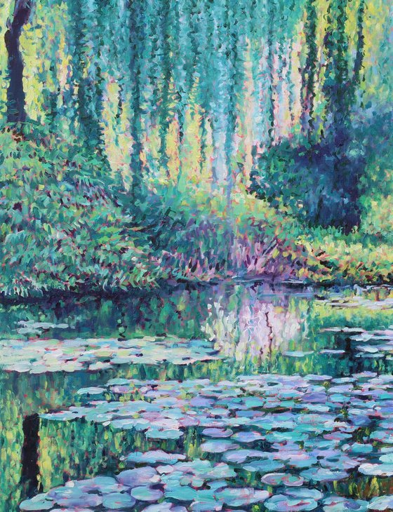 Lily Pond Reflections