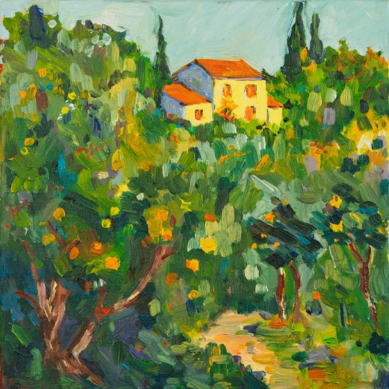 House in Summer Light