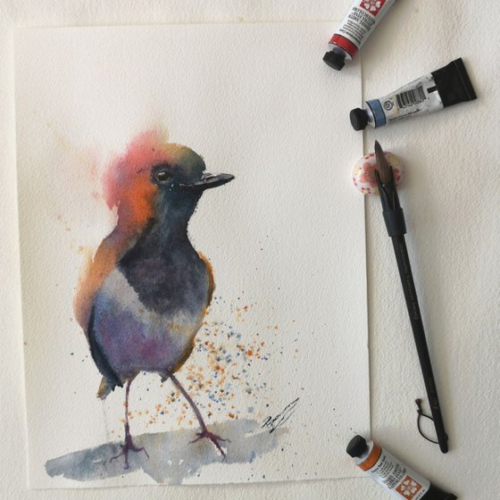 Little bird