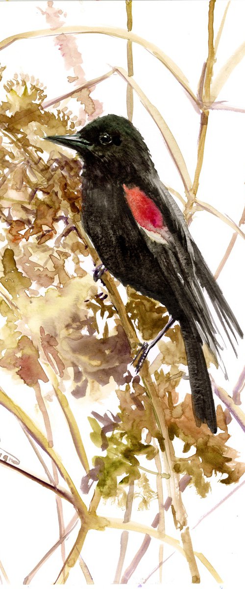 Red Winged Blackbird by Suren Nersisyan