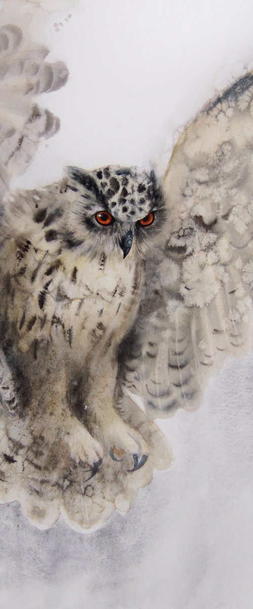 Flying Owl -  Wildlife Art - Owl Painting by Olga Beliaeva Watercolour