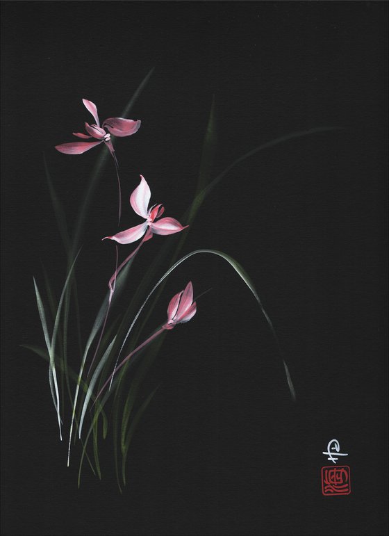 Rose Moon Orchid
