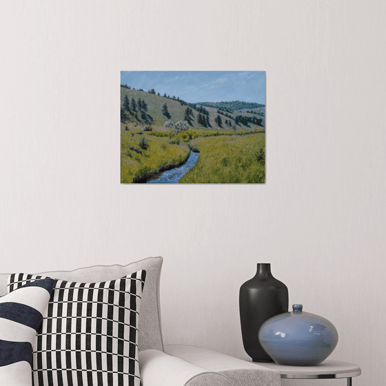 Endless Meadow Calm and Freshness