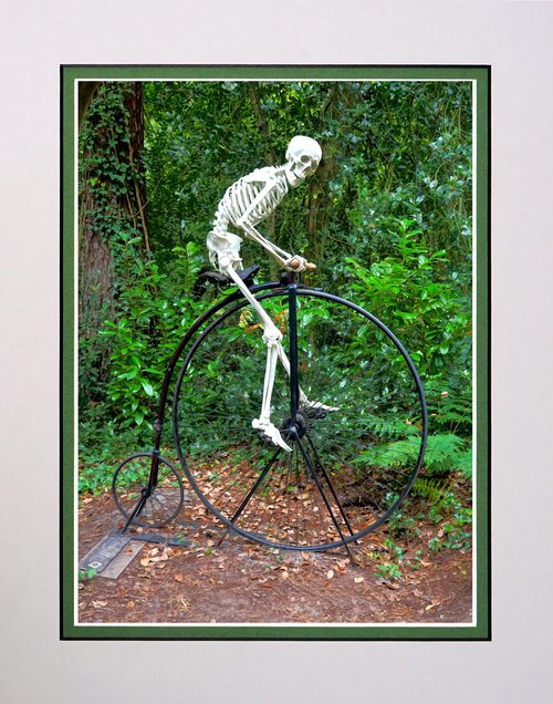 Skeleton on a bike by Robin Clarke