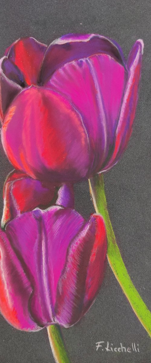 Tulips by Francesca Licchelli