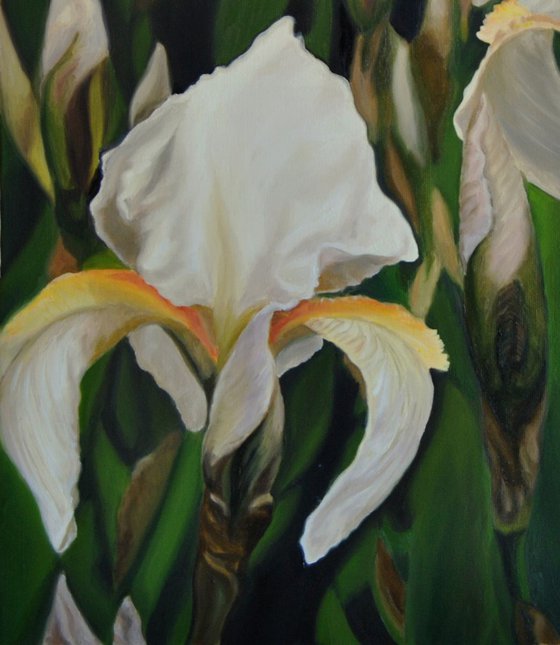 Irises painting