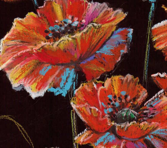 Vibrant Poppies