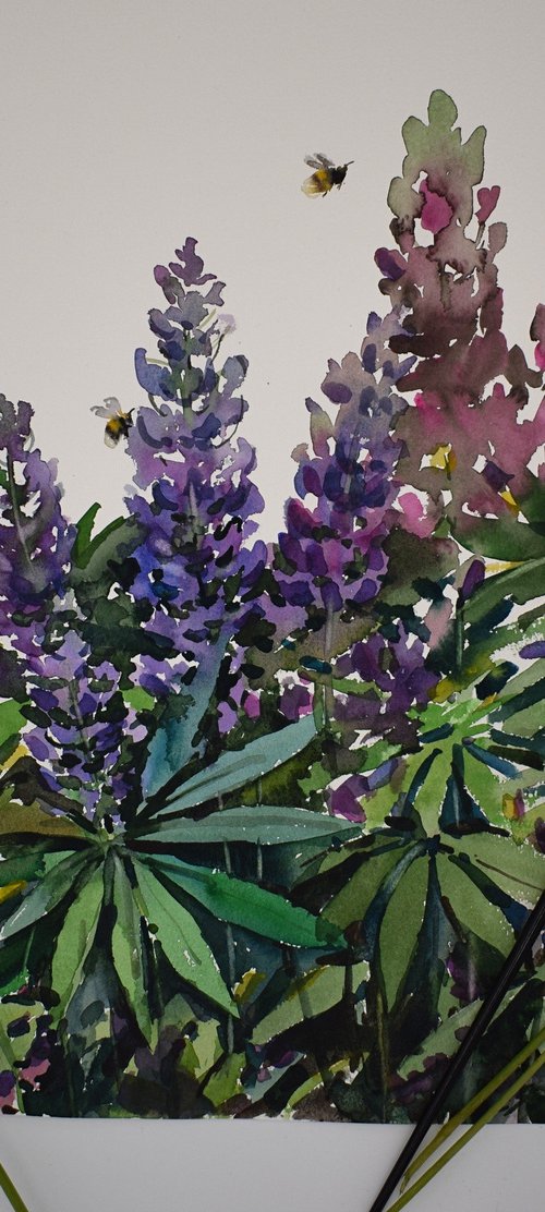 Lupine by Elena Sanina