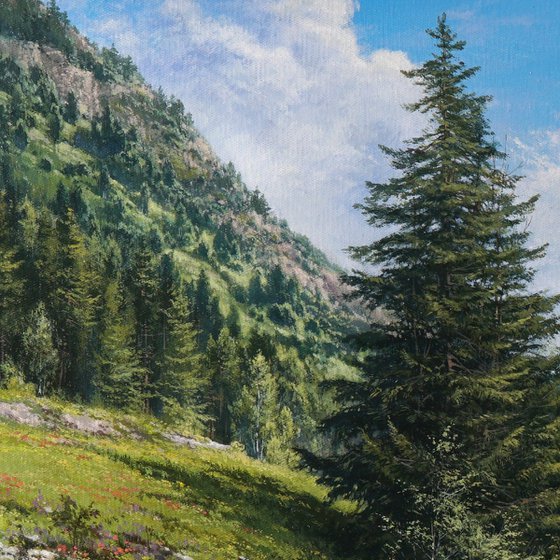 Mountain symphony
