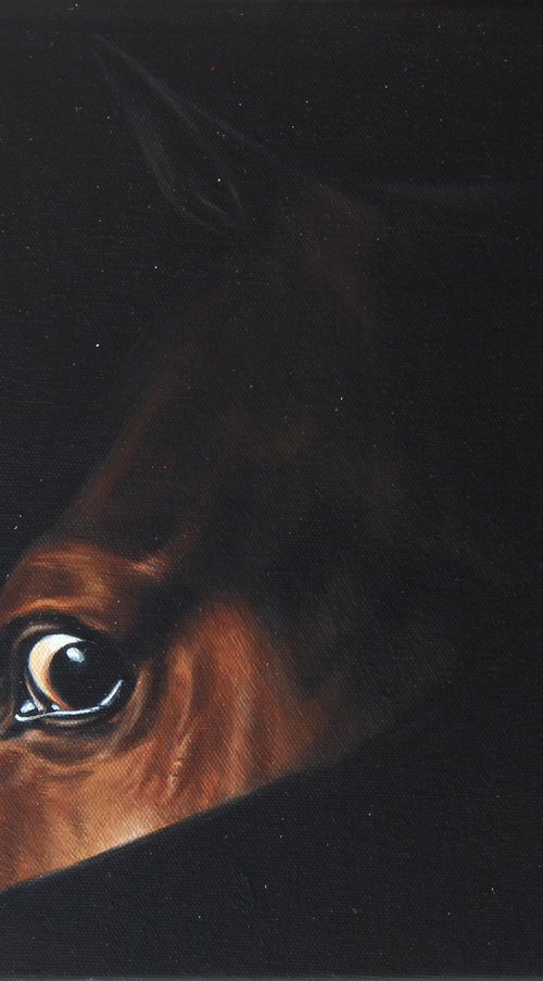 horse eye by Marie Madej