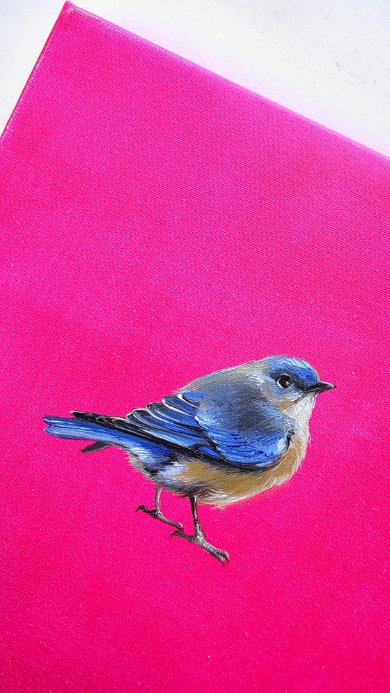 Bluebird Happiness