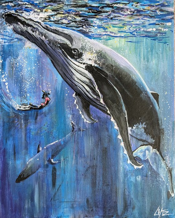 Whales and diver