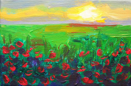 Poppy sunset