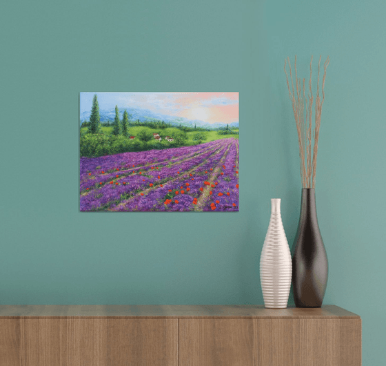 Purple lavender field