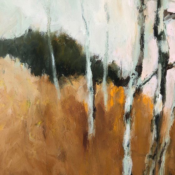 Spindly Birches