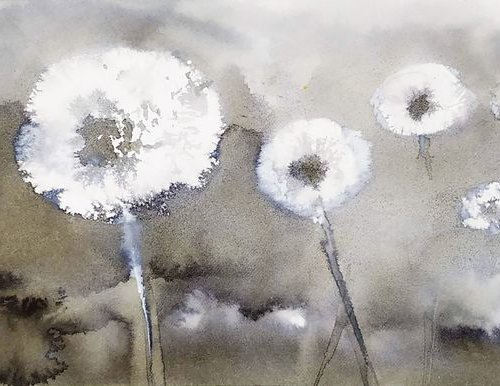 Dandelions by Flavio Furlan