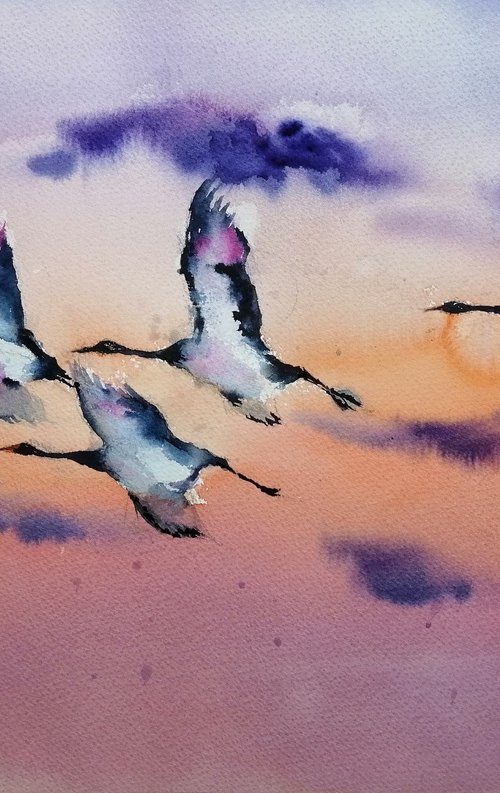 herons by Giorgio Gosti