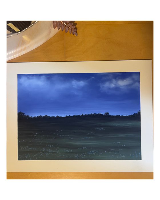 Wiese in der blauen Stunde