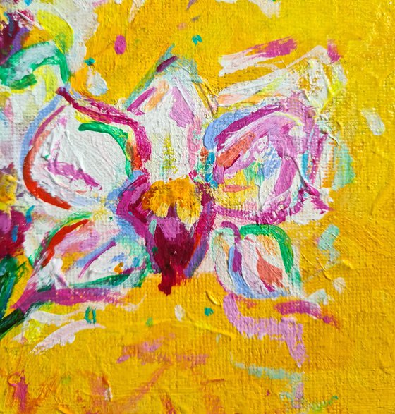 Orchids