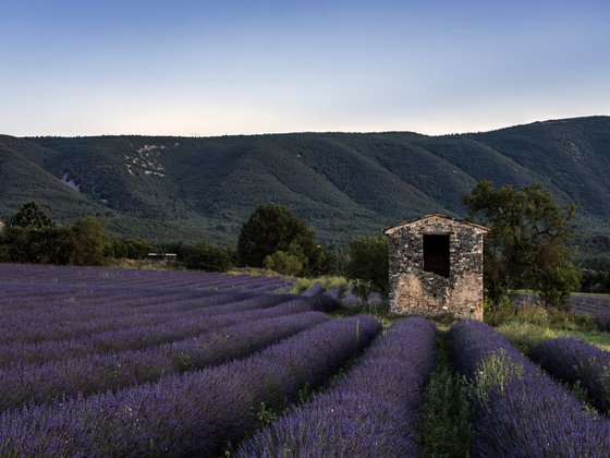 THE SUNSET OF PROVENCE II