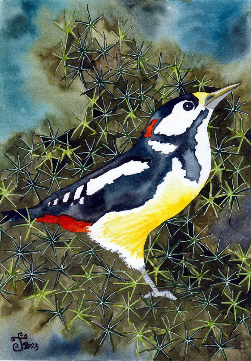 Illustrative Watercolour , Spotted Woodpecker By Terri Smith, 12 X 16, Artwork For Sale On Artfinder