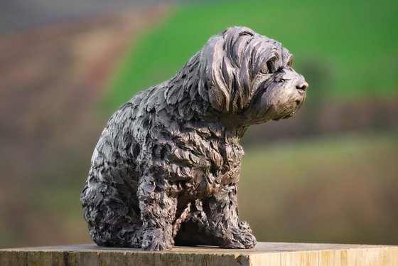 Maltese Terrier 2 Bronze Resin