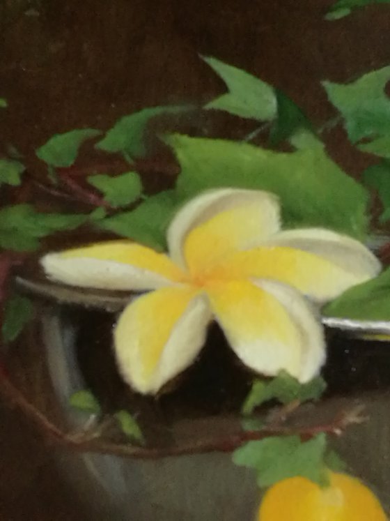 Still life with ivy, lemons and frangipani