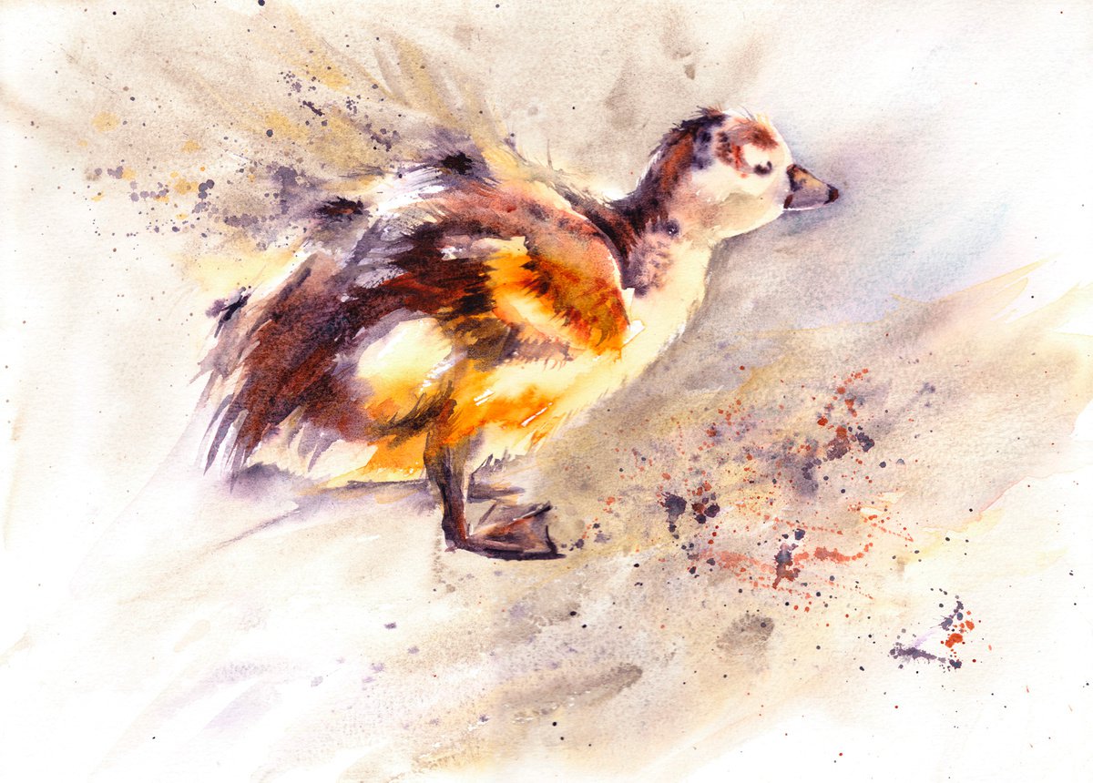 Gosling painting, duckling, Easter, Cute bird, watercolour, watercolor, original wall art by Anjana Cawdell