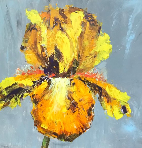 Iris yellow acrylic on canvas