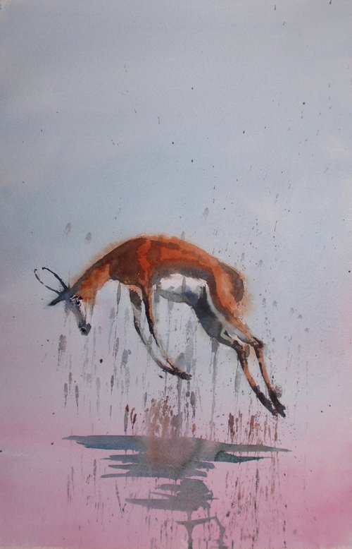springbok by Giorgio Gosti