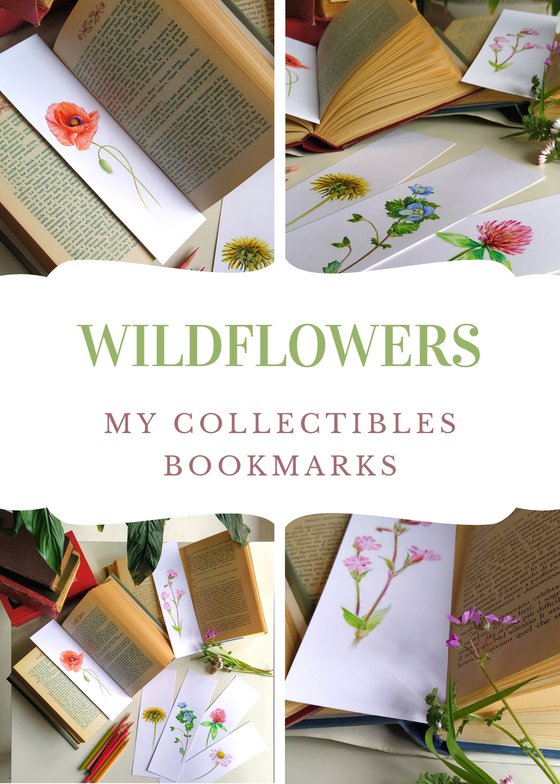 Birdeye Speedwell - from my Wildflowers Bookmarks Collection