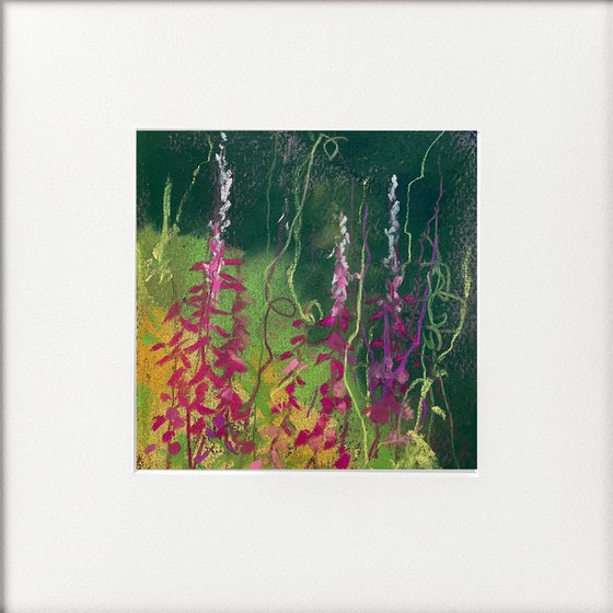 Seasons - Late Summer Rosebay Willowherb Sketch